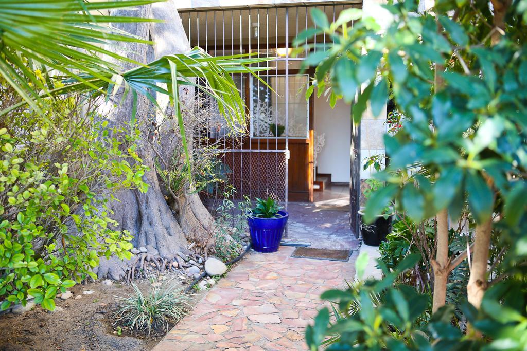 Oudtshoorn Homestay Accommodation 외부 사진